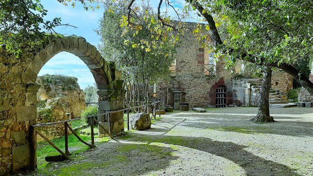 test consiglio 5 agosto 2026